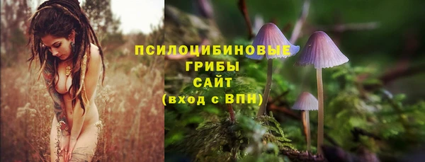МДПВ Абдулино