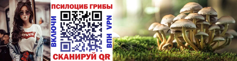 Галлюциногенные грибы MAGIC MUSHROOMS  наркошоп  Уварово 